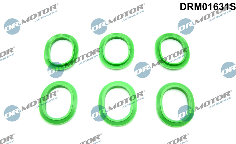 Dr.Motor Automotive DRM01631S Gasket Set, intake manifold
