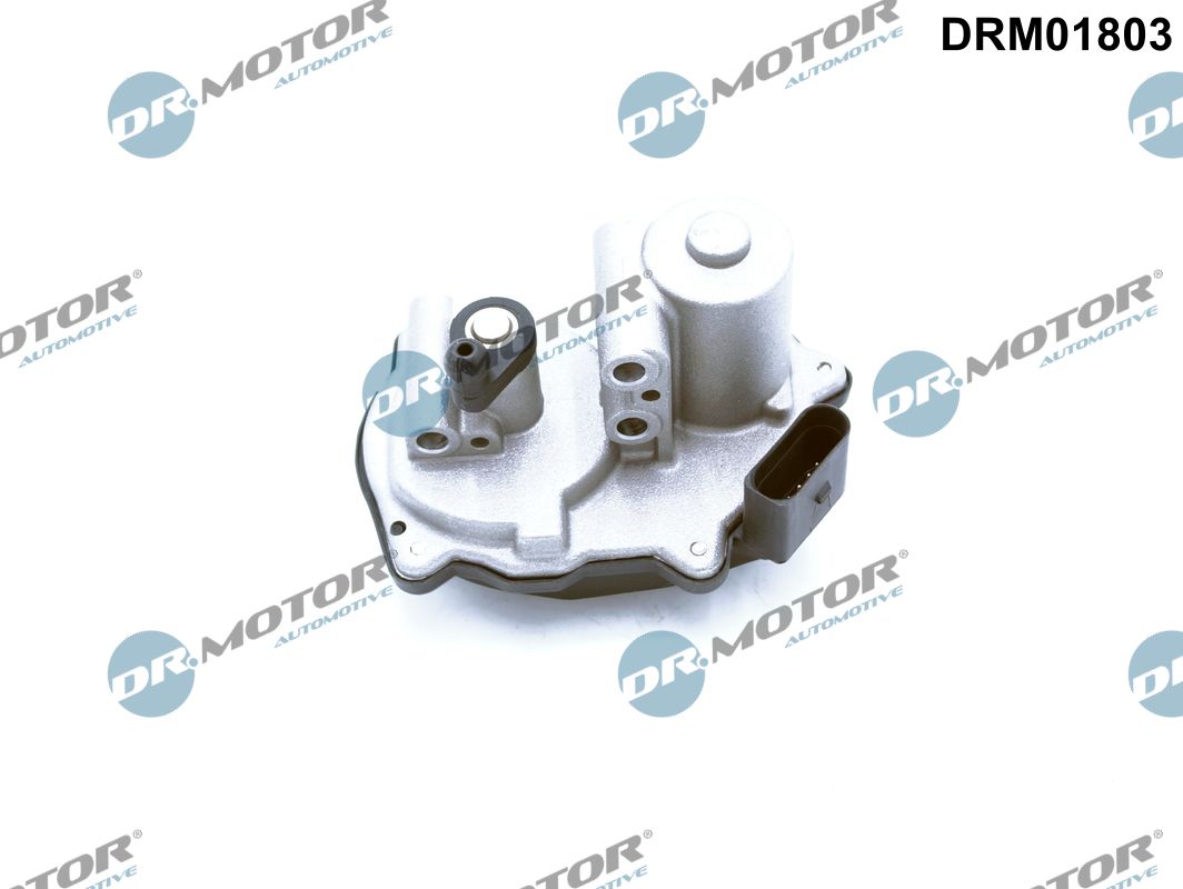 Dr.Motor Automotive DRM01803 Control, swirl covers (induction pipe)