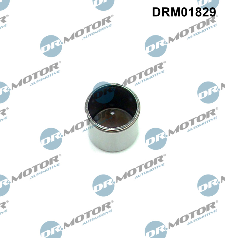 Dr.Motor Automotive...