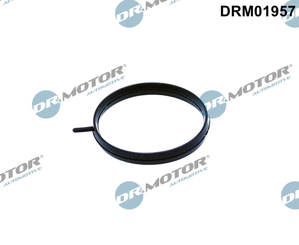 Dr.Motor Automotive...