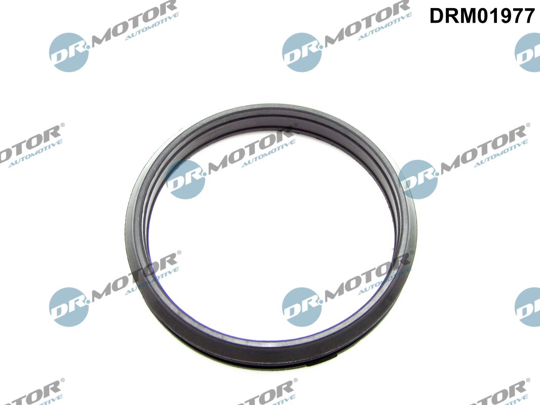 Dr.Motor Automotive...