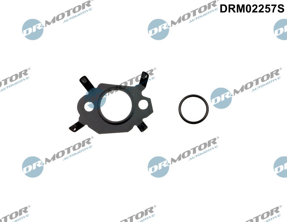 Dr.Motor Automotive...