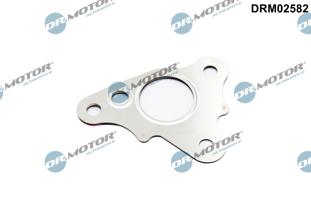 Dr.Motor Automotive DRM02582 Tesnenie, Vedenie AGR-ventilu