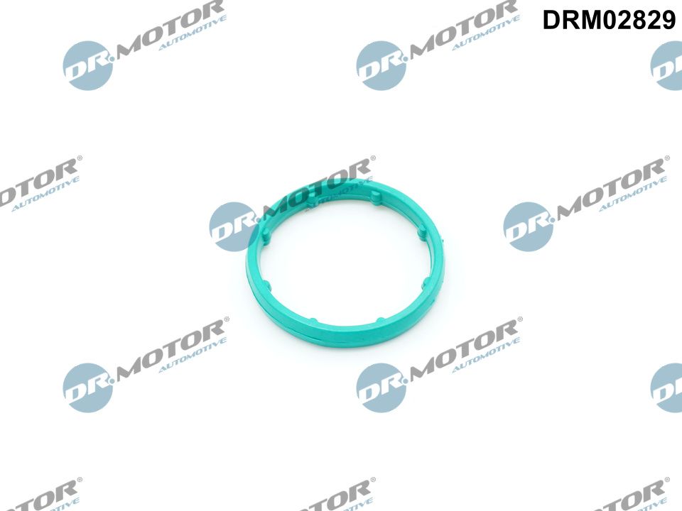 Dr.Motor Automotive...