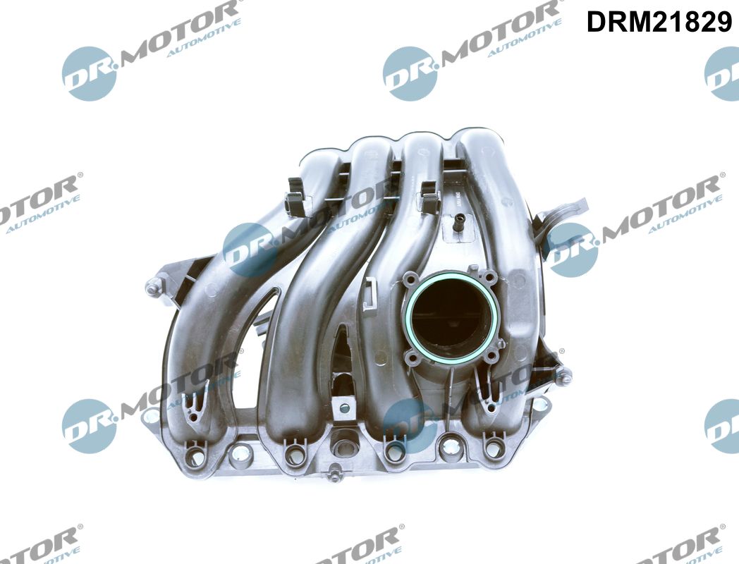 Dr.Motor Automotive...