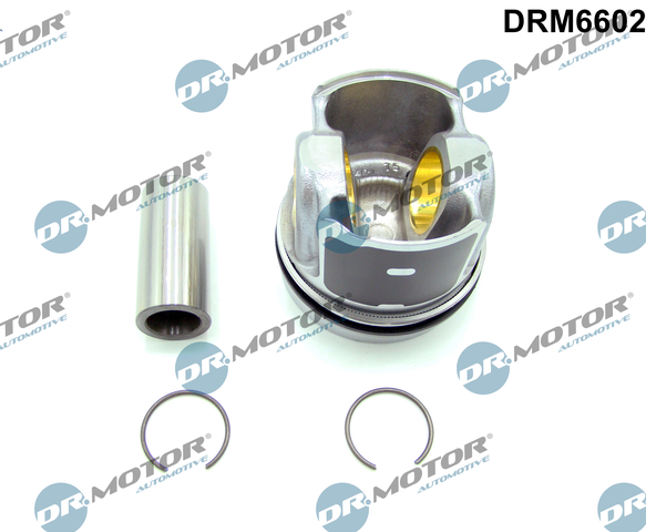 Dr.Motor Automotive DRM6602 Partial Engine