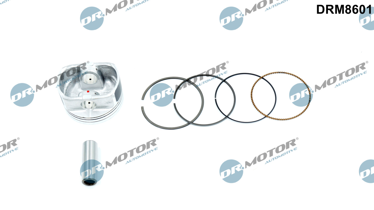 Dr.Motor Automotive DRM8601...