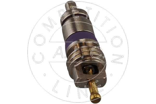AIC 71323 Szelepmag, javítószelep AUDI SEAT SKODA VW VW (FAW)
