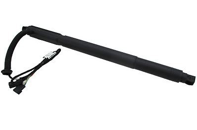 MTR 12199656 Perna aer...