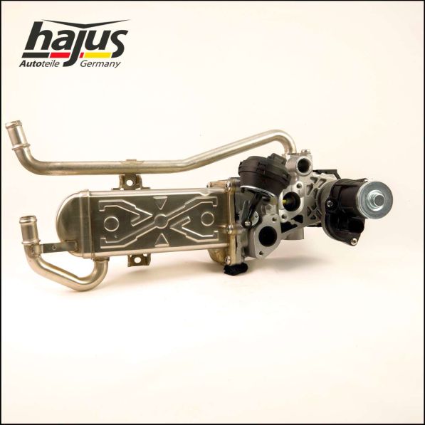 hajus Autoteile 1311045 AGR-Modul