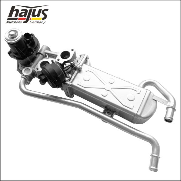 hajus Autoteile 1311046 AGR-Modul