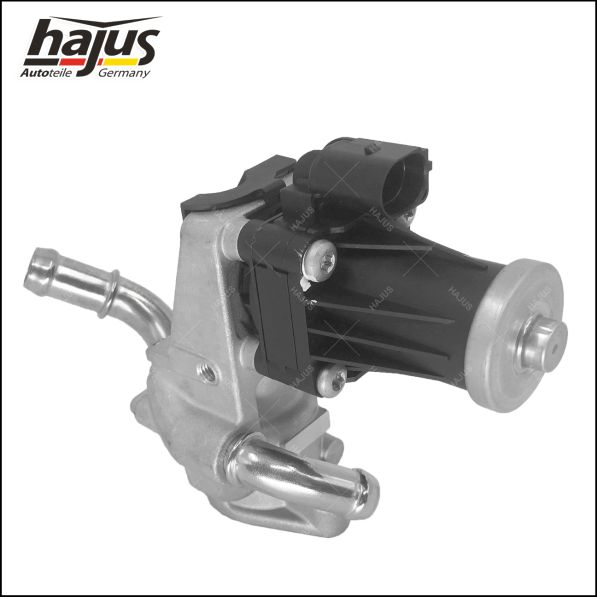 hajus Autoteile 1311106 AGR-Ventil