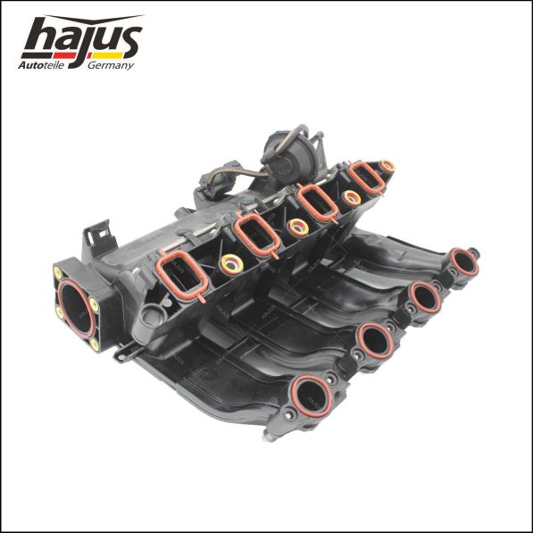 hajus Autoteile 2511063 Saugrohrmodul