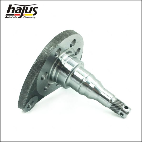 hajus Autoteile 4071063 Achszapfen, Achskörper