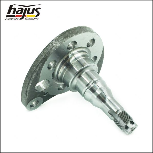 hajus Autoteile 4071065 Achszapfen, Achskörper