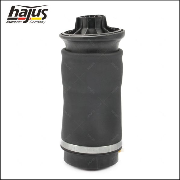 Federbalg, Luftfederbein