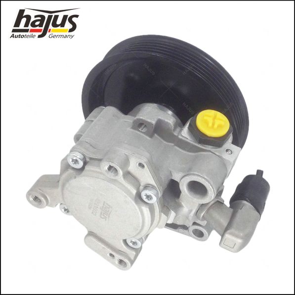 hajus Autoteile 4221032 Hydraulikpumpe, Lenkung