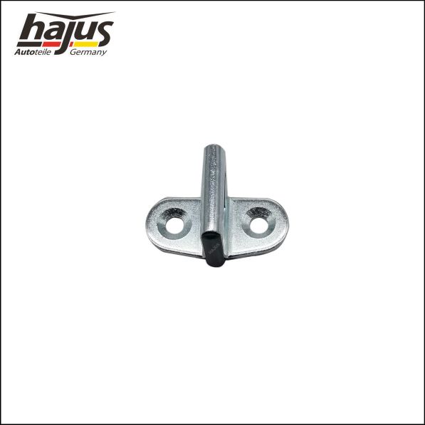 hajus Autoteile 8571082 Schließplatte, Hecktürschloss