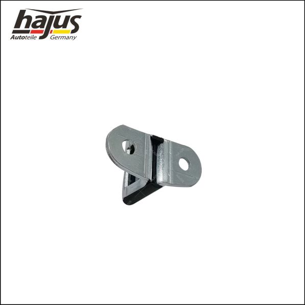 hajus Autoteile 8571082 Schließplatte, Hecktürschloss