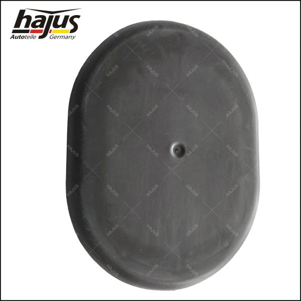 hajus Autoteile 8571114 Abdeckung, Scheinwerfer