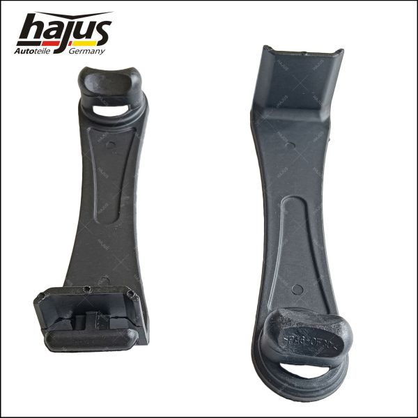 hajus Autoteile 8571124 Halteclip, Bodenbelagsauskleidung (Teppich)