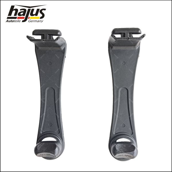 hajus Autoteile 8571124 Halteclip, Bodenbelagsauskleidung (Teppich)
