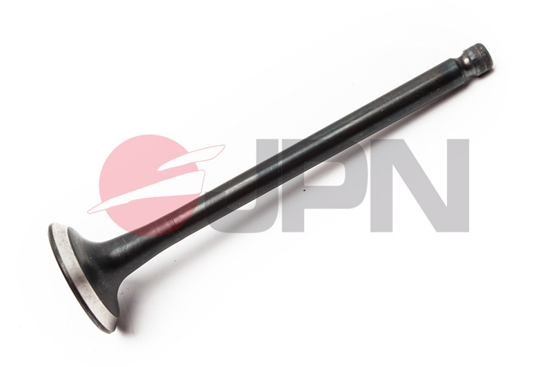 JPN 80M0507-JPN Auslassventil