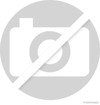 HERTH+BUSS ELPARTS 50267368 Κλιπ εξωτερικά Επένδυση πόρτας for HYUNDAI KIA