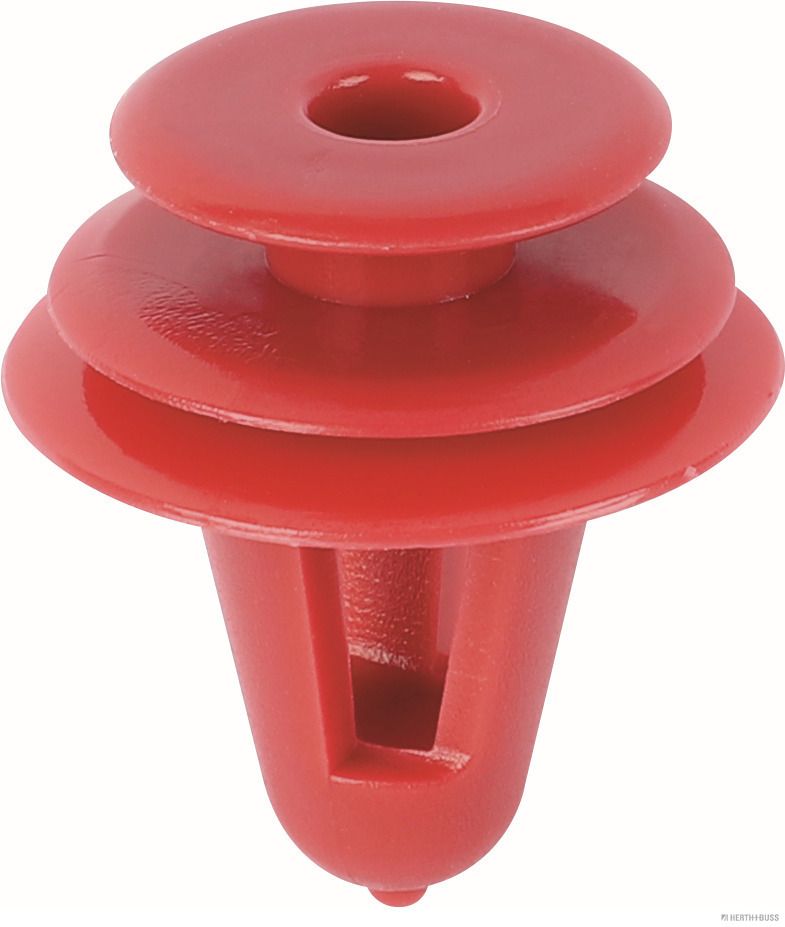 Clip, trim/protection strip