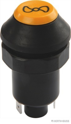HERTH+BUSS ELPARTS 70490626 Switch, interior blower