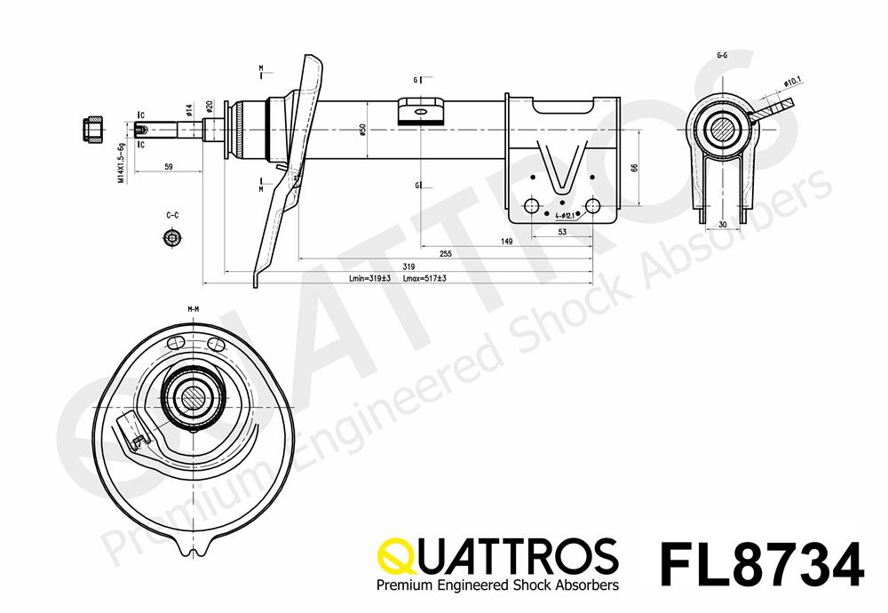 DAVID VASCO FL8734 QUATTROS Shock Absorber