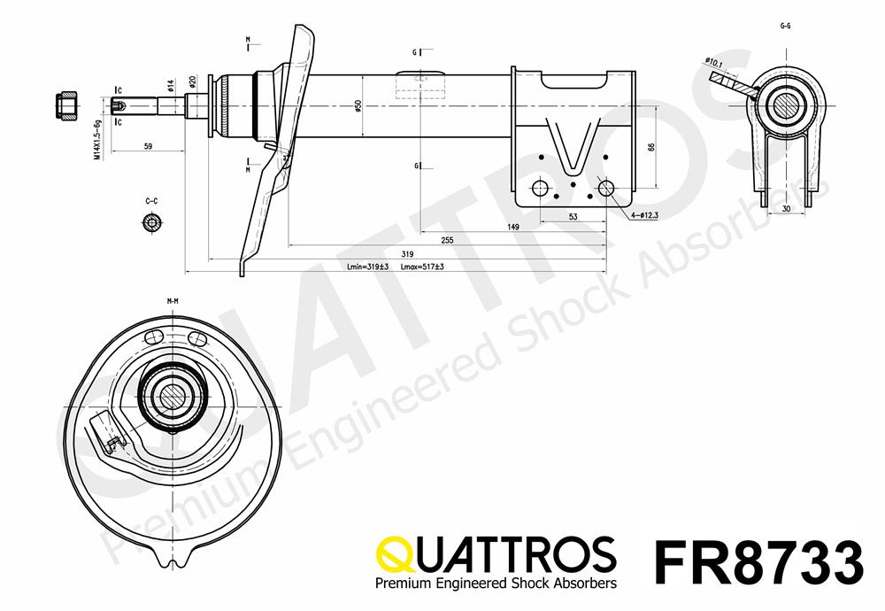 DAVID VASCO FR8733 QUATTROS Shock Absorber