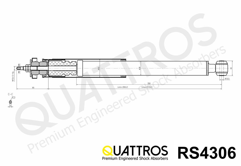 DAVID VASCO RS4306 QUATTROS Shock Absorber