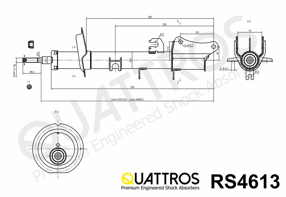 DAVID VASCO RS4613 QUATTROS Shock Absorber