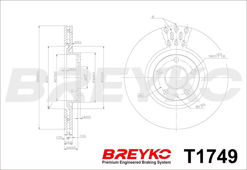 DAVID VASCO T1749 BREYKO Brake Disc