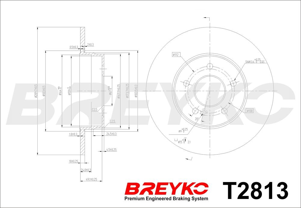 DAVID VASCO T2813 BREYKO Brake Disc