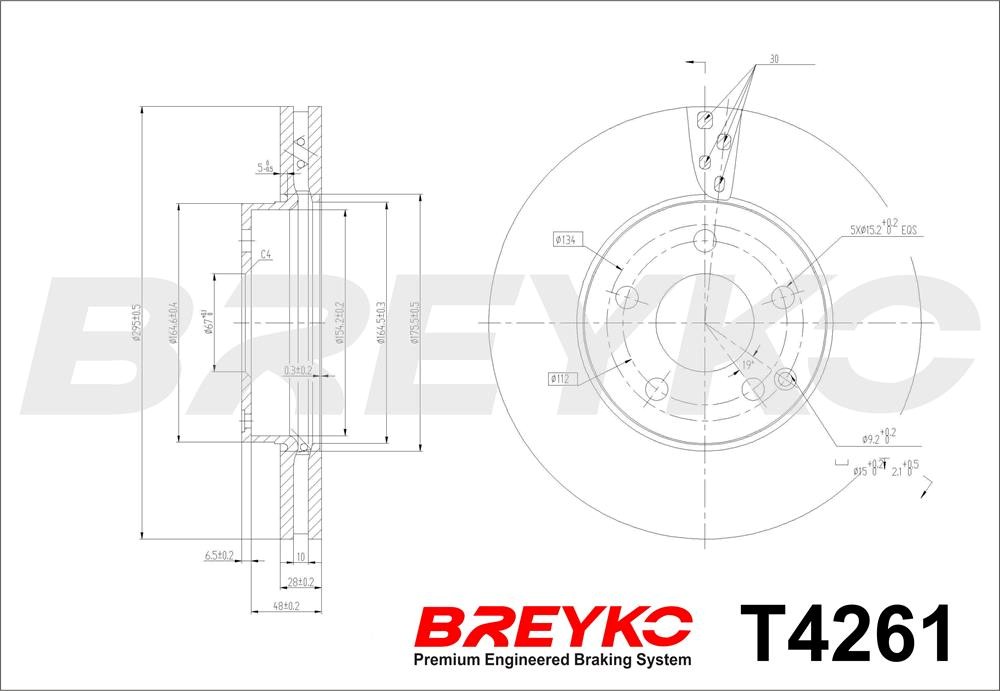 DAVID VASCO T4261 BREYKO Brake Disc