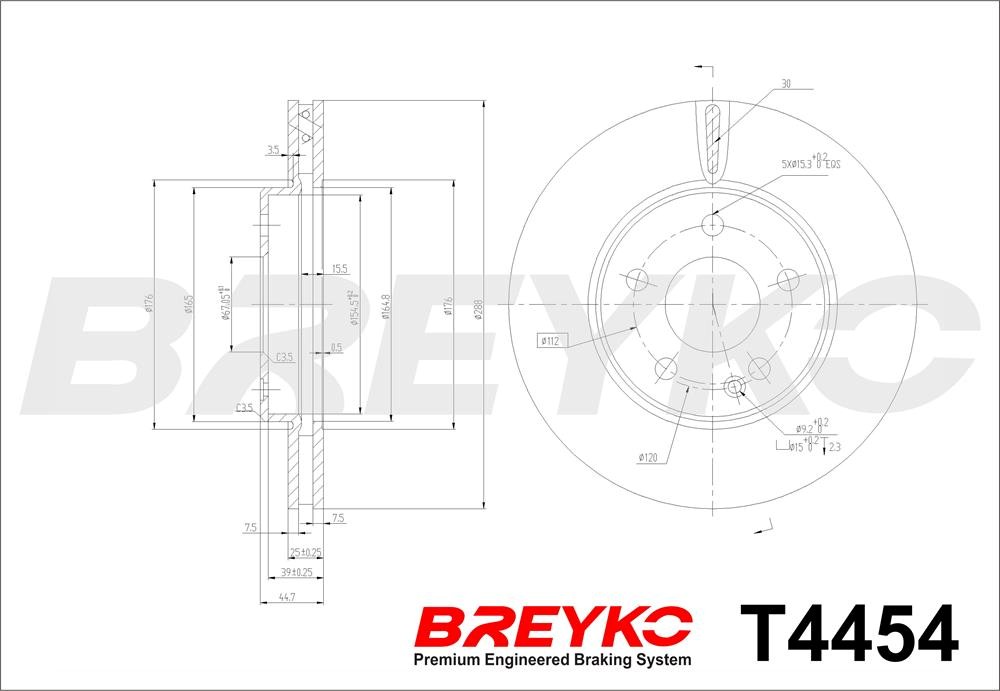 DAVID VASCO T4454 BREYKO Brake Disc