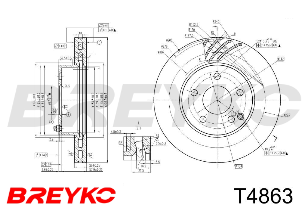 DAVID VASCO T4863 BREYKO Brake Disc