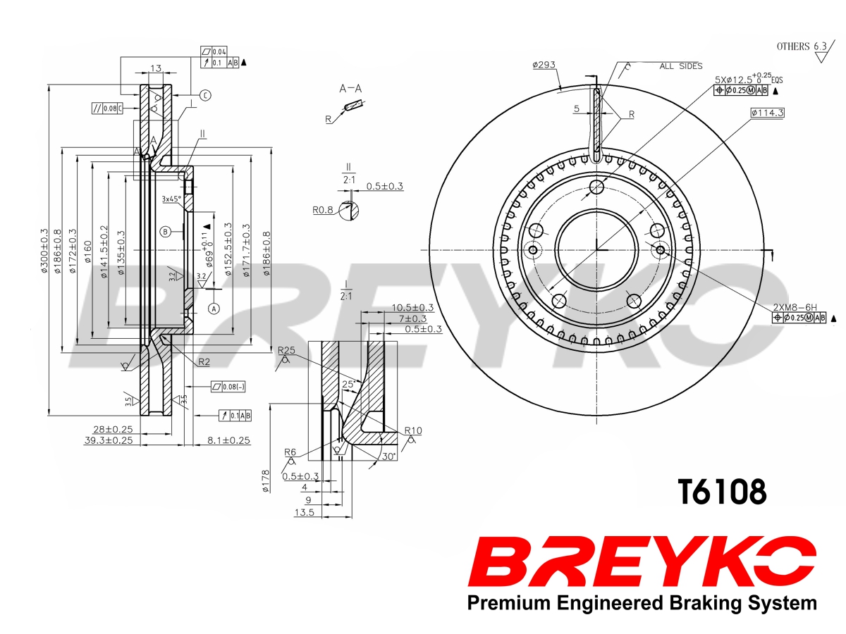 DAVID VASCO T6108 BREYKO Brake Disc