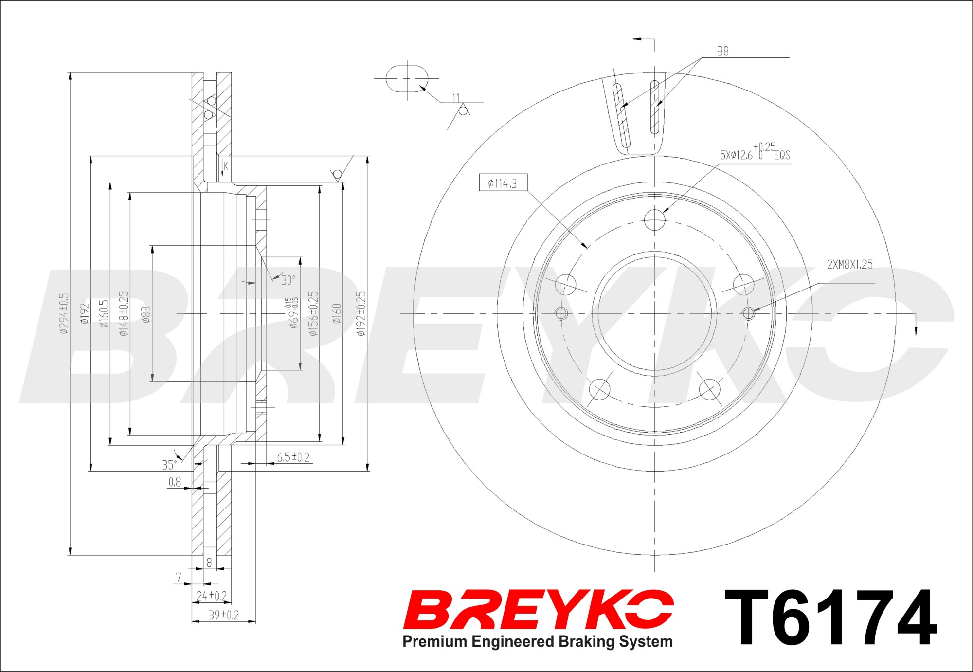 DAVID VASCO T6174 BREYKO Brake Disc