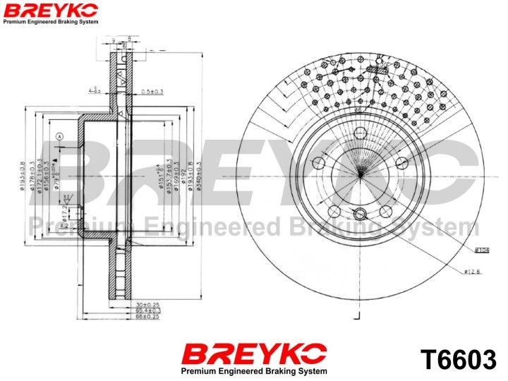 DAVID VASCO T6603 Brake Disc