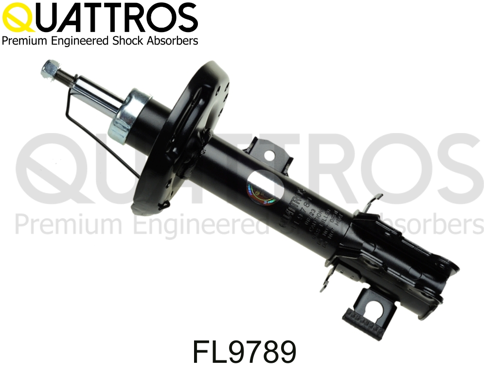 DAVID VASCO FL9789 QUATTROS Shock Absorber