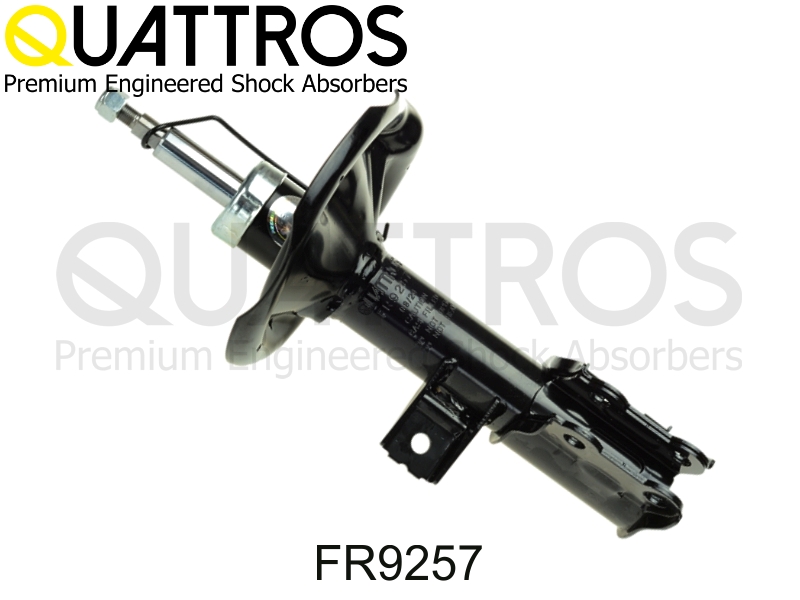 DAVID VASCO FR9257 QUATTROS Shock Absorber