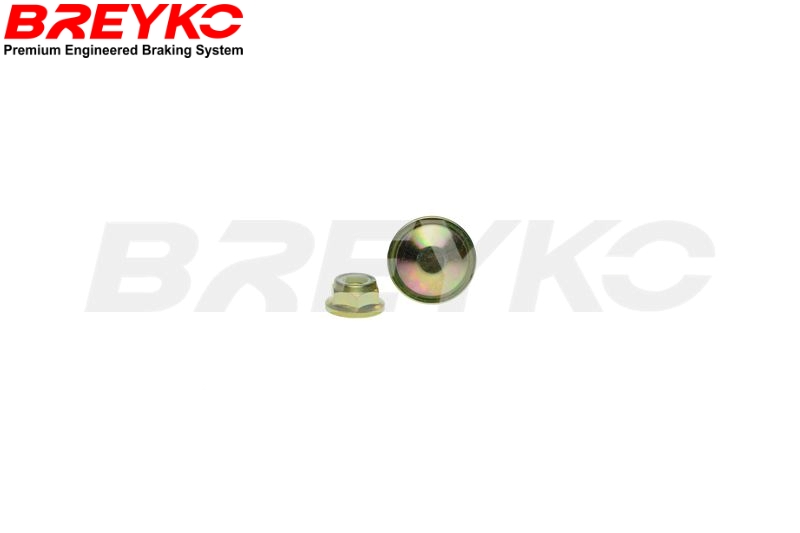 DAVID VASCO T4227 BREYKO Brake Disc