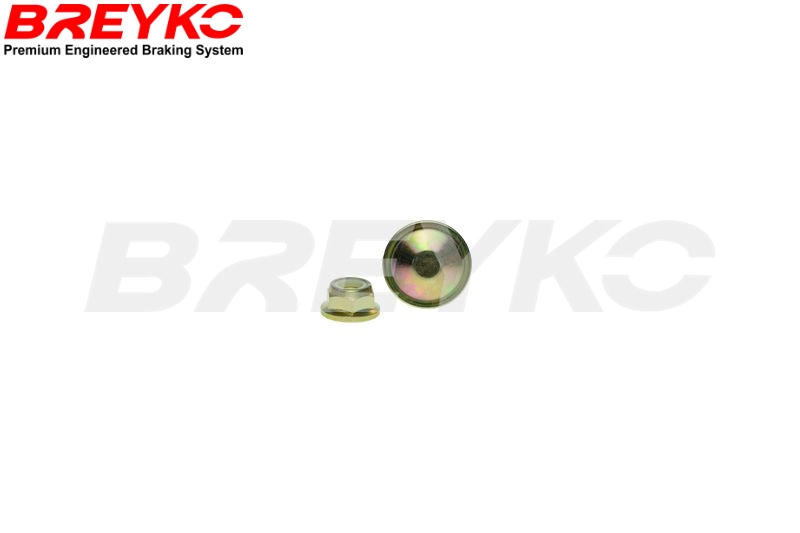 DAVID VASCO T4274 BREYKO Brake Disc