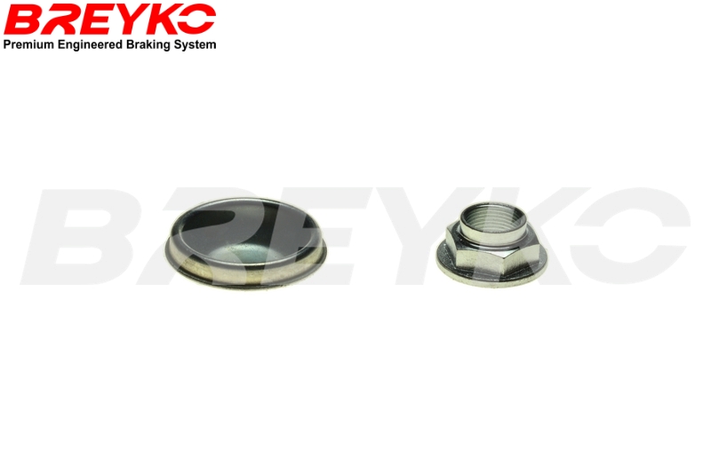 DAVID VASCO T4452 BREYKO Brake Disc