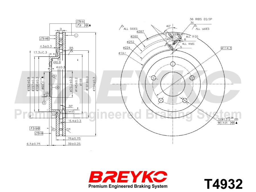 DAVID VASCO T4932 BREYKO Brake Disc