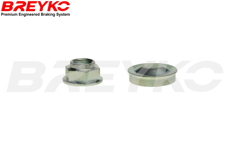 DAVID VASCO T6190 BREYKO Brake Disc