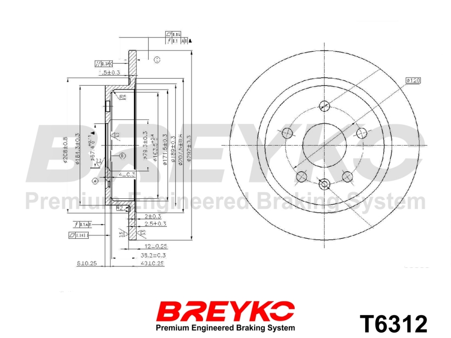 DAVID VASCO T6312 BREYKO Brake Disc